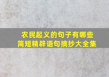 农民起义的句子有哪些简短精辟语句摘抄大全集