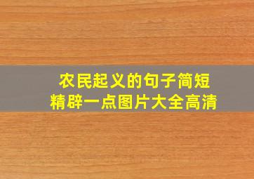 农民起义的句子简短精辟一点图片大全高清