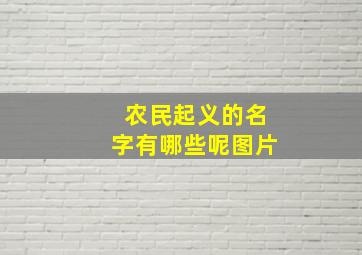 农民起义的名字有哪些呢图片