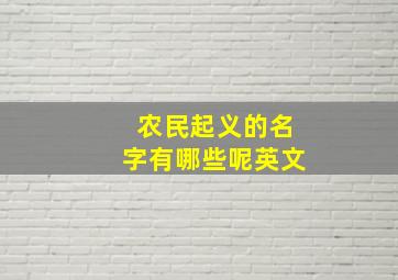 农民起义的名字有哪些呢英文