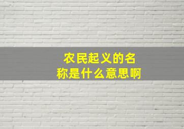 农民起义的名称是什么意思啊