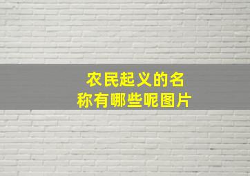 农民起义的名称有哪些呢图片