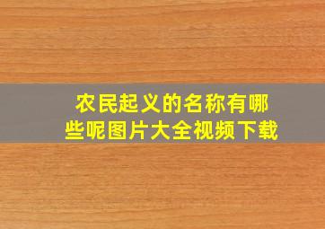 农民起义的名称有哪些呢图片大全视频下载