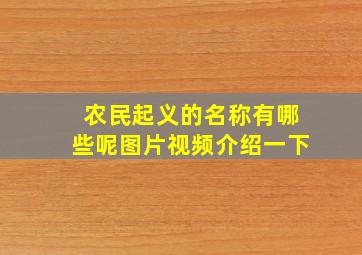 农民起义的名称有哪些呢图片视频介绍一下