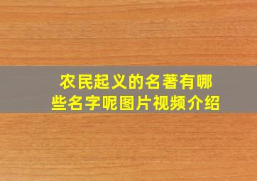 农民起义的名著有哪些名字呢图片视频介绍