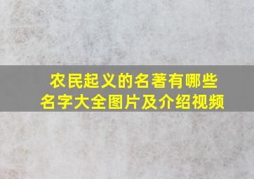 农民起义的名著有哪些名字大全图片及介绍视频