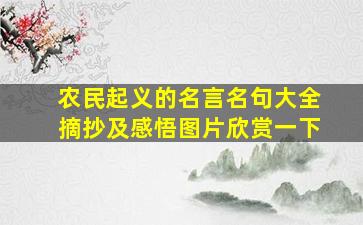 农民起义的名言名句大全摘抄及感悟图片欣赏一下