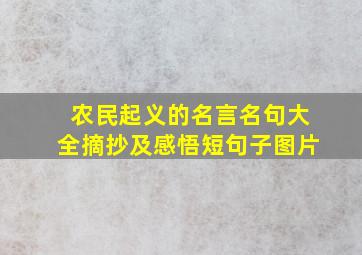 农民起义的名言名句大全摘抄及感悟短句子图片