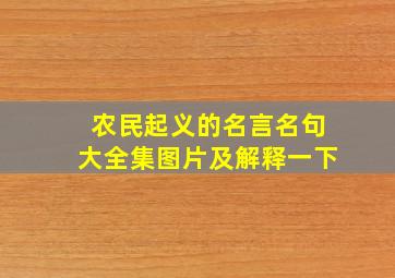 农民起义的名言名句大全集图片及解释一下