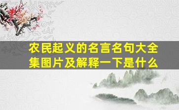 农民起义的名言名句大全集图片及解释一下是什么