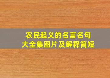 农民起义的名言名句大全集图片及解释简短