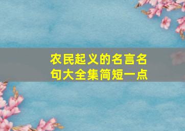 农民起义的名言名句大全集简短一点