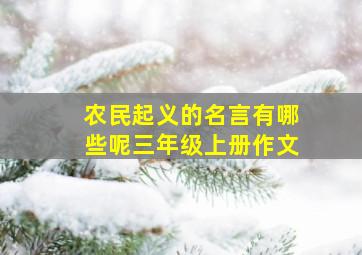 农民起义的名言有哪些呢三年级上册作文