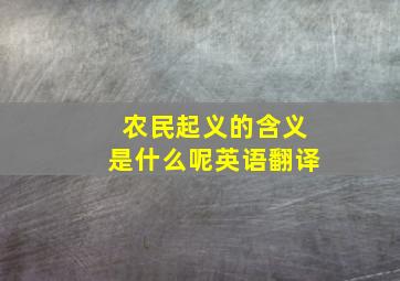 农民起义的含义是什么呢英语翻译