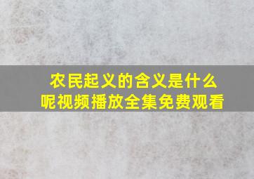 农民起义的含义是什么呢视频播放全集免费观看