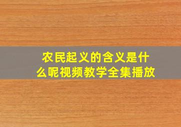 农民起义的含义是什么呢视频教学全集播放