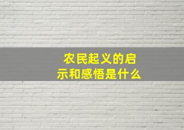 农民起义的启示和感悟是什么