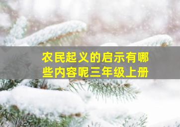 农民起义的启示有哪些内容呢三年级上册