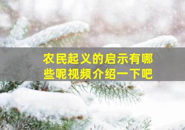 农民起义的启示有哪些呢视频介绍一下吧