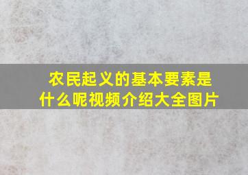 农民起义的基本要素是什么呢视频介绍大全图片