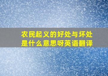 农民起义的好处与坏处是什么意思呀英语翻译