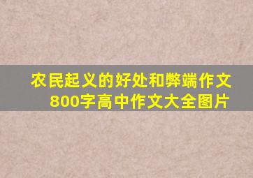 农民起义的好处和弊端作文800字高中作文大全图片