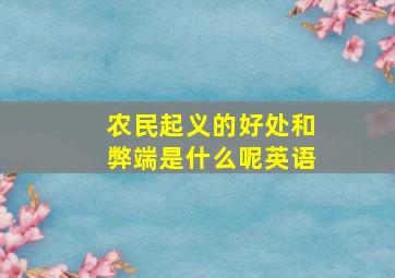 农民起义的好处和弊端是什么呢英语