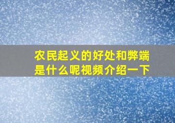 农民起义的好处和弊端是什么呢视频介绍一下