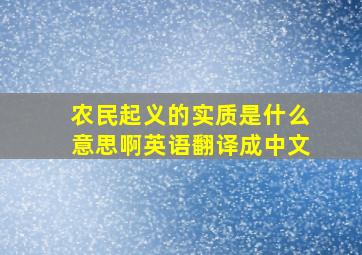 农民起义的实质是什么意思啊英语翻译成中文