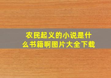 农民起义的小说是什么书籍啊图片大全下载