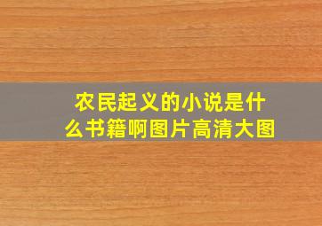 农民起义的小说是什么书籍啊图片高清大图