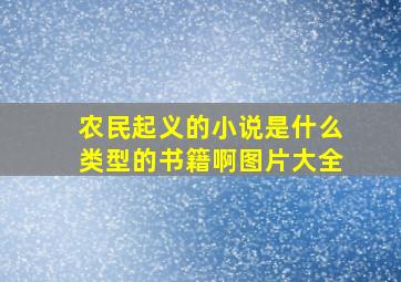 农民起义的小说是什么类型的书籍啊图片大全