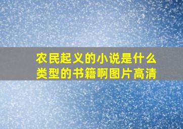 农民起义的小说是什么类型的书籍啊图片高清