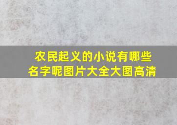 农民起义的小说有哪些名字呢图片大全大图高清