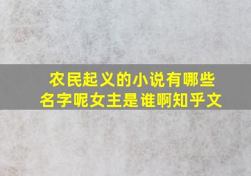 农民起义的小说有哪些名字呢女主是谁啊知乎文