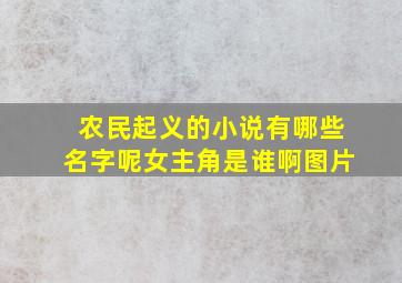 农民起义的小说有哪些名字呢女主角是谁啊图片