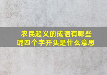 农民起义的成语有哪些呢四个字开头是什么意思