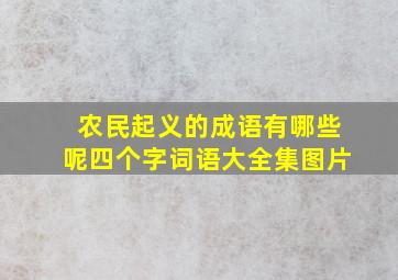 农民起义的成语有哪些呢四个字词语大全集图片