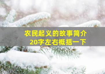 农民起义的故事简介20字左右概括一下