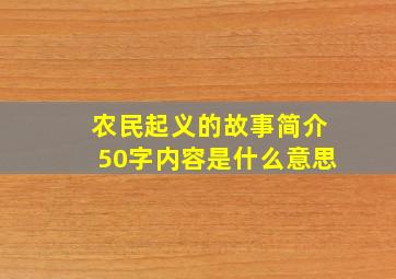 农民起义的故事简介50字内容是什么意思