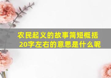 农民起义的故事简短概括20字左右的意思是什么呢