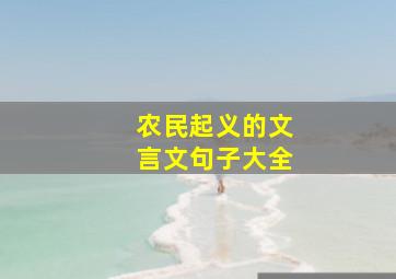 农民起义的文言文句子大全