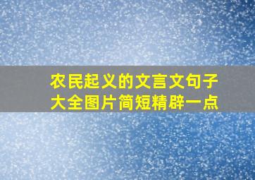 农民起义的文言文句子大全图片简短精辟一点