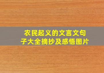 农民起义的文言文句子大全摘抄及感悟图片