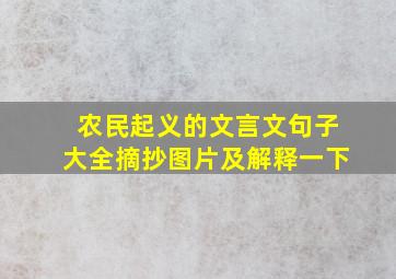 农民起义的文言文句子大全摘抄图片及解释一下