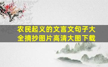 农民起义的文言文句子大全摘抄图片高清大图下载