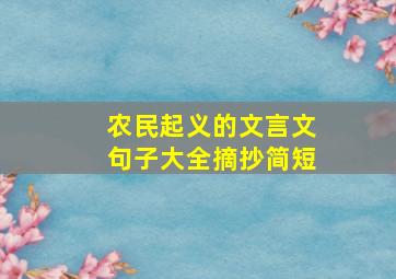 农民起义的文言文句子大全摘抄简短