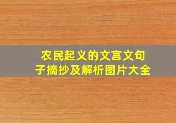 农民起义的文言文句子摘抄及解析图片大全