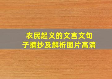 农民起义的文言文句子摘抄及解析图片高清