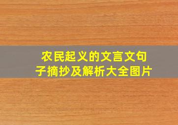 农民起义的文言文句子摘抄及解析大全图片